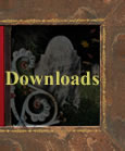 Downloads